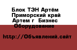 Блок ТЭН Артём - Приморский край, Артем г. Бизнес » Оборудование   